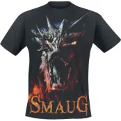 The Hobbit T-shirt - Smaug - M L - för Herr - svart